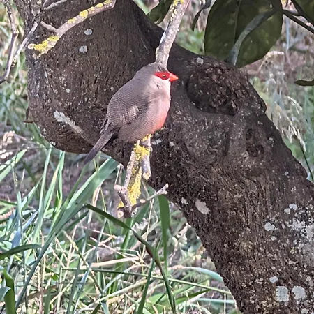 Appartamento Da Ria E *